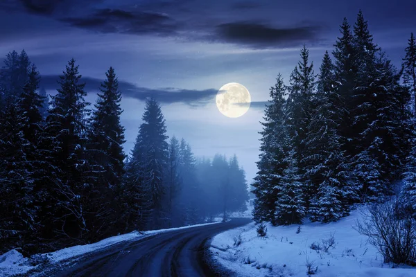 Estrada rural através da floresta à noite — Fotografia de Stock