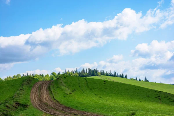 Onverharde weg bergop de groene heuvel — Stockfoto