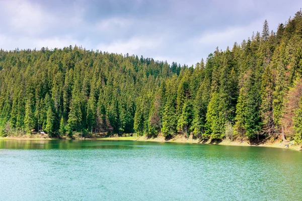 山中针叶林中的湖泊 — 图库照片