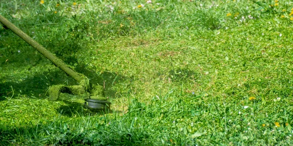 Entretien de l'herbe avec coupe-brosse — Photo