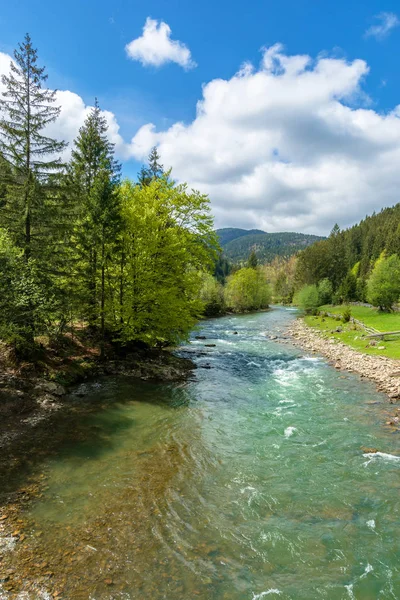 山の中の川素晴らしい春の風景 — ストック写真