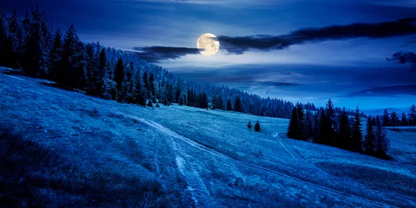 Forested carpathian mountains in summer at night — Stock Photo, Image