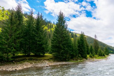 Dağlardaki nehir. harika bahar manzarası
