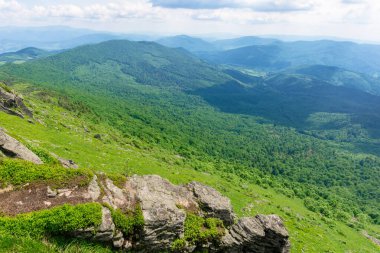 Yazın dağ manzarası