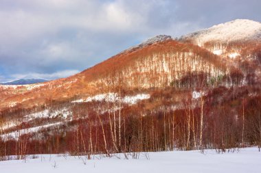 güzel kış manzara Dağları