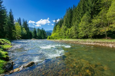 Dağ nehri ile doğa sahnesi