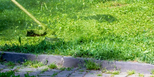 Erba cura con spazzola cutter — Foto Stock