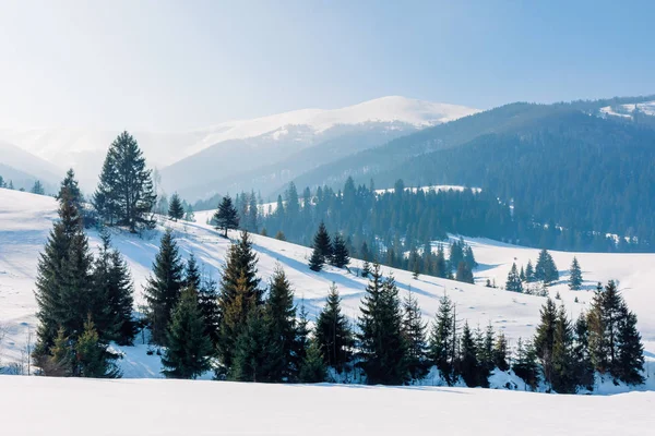 Hornatá krajina v zimě — Stock fotografie