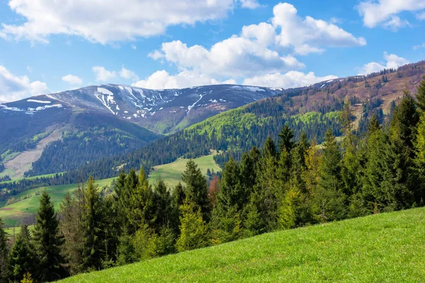 Berglandschaft im Frühling — Stockfoto