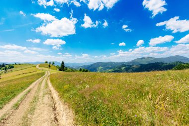 Yaz mevsiminde dağlık kırsal alan