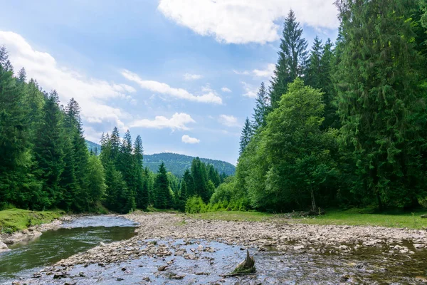 Scène de nature avec rivière de montagne — Photo