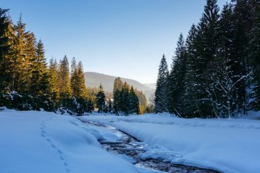 donmuş ve karla kaplı dağ nehri