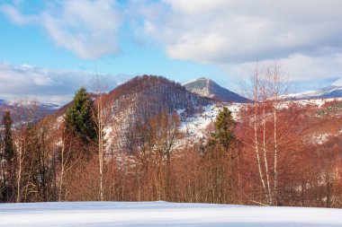 güzel kış manzara Dağları