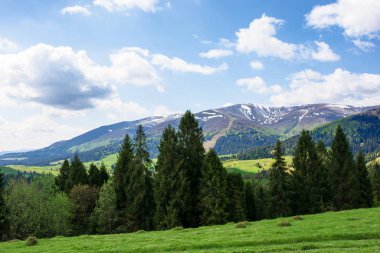ilkbaharda dağ manzarası