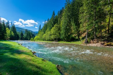 Dağ nehri ile doğa sahnesi