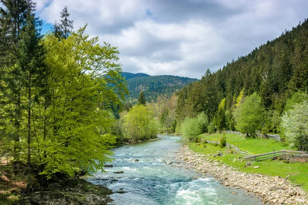 Rivier in de bergen. prachtige lente landschap — Stockfoto