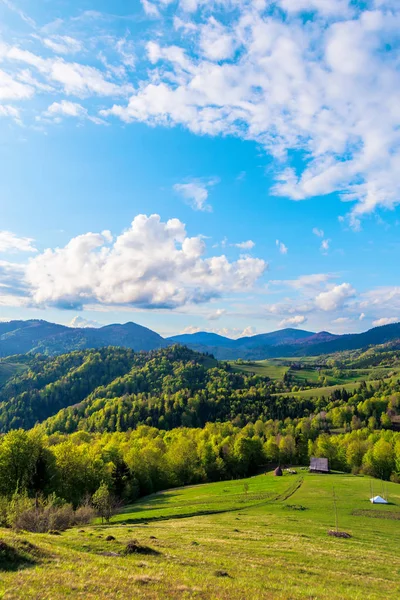 Karpaten platteland in de lente — Stockfoto