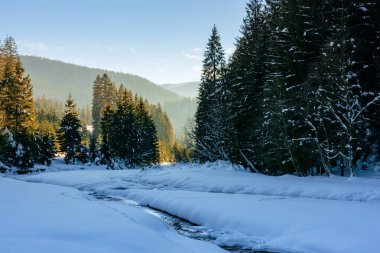 donmuş ve karla kaplı dağ nehri