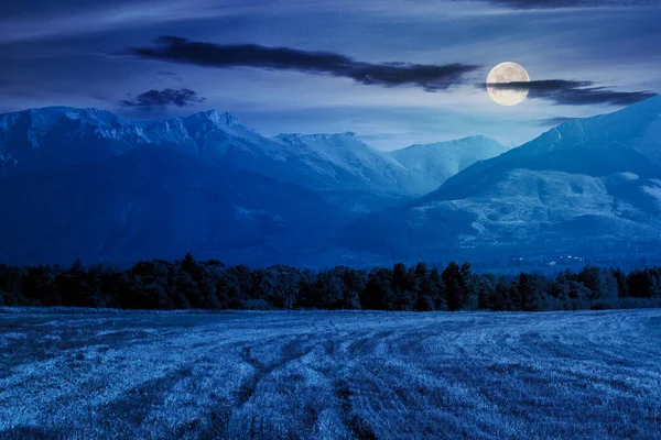 Paesaggio rurale della Slovacchia in estate — Foto Stock