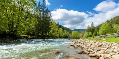 Dağlardaki nehir. harika bahar manzarası