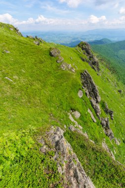 Yazın dağ manzarası