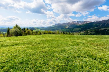 Baharda dağlık kırsal alan