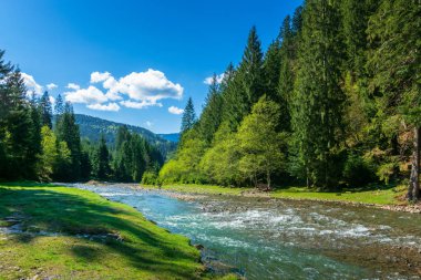 Dağ nehri ile doğa sahnesi