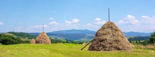 Сіностійка на трав'янистому полі влітку — стокове фото