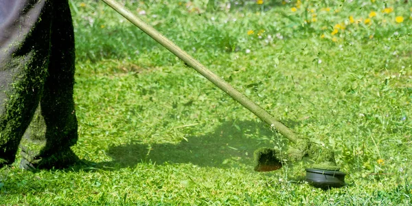 Cuidado de grama com cortador de escova — Fotografia de Stock