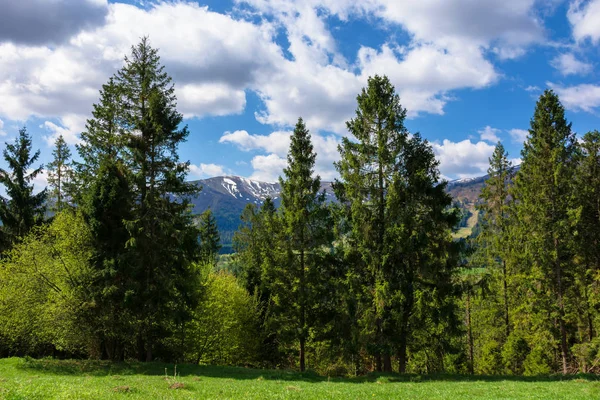 Berglandschaft im Frühling — Stockfoto