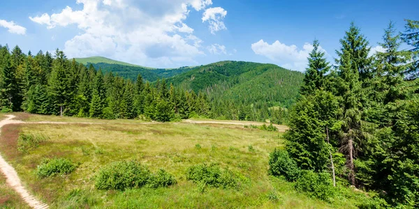 Skogsklädda karpatiska berg på sommaren — Stockfoto