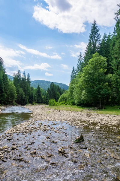 Escena de la naturaleza con río de montaña — Foto de Stock