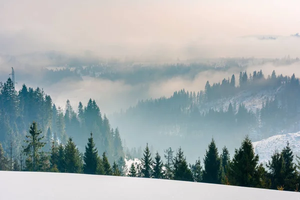 Maestosa campagna all'alba in inverno Immagine Stock