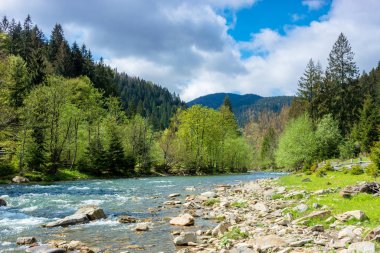 Dağlardaki nehir. harika bahar manzarası