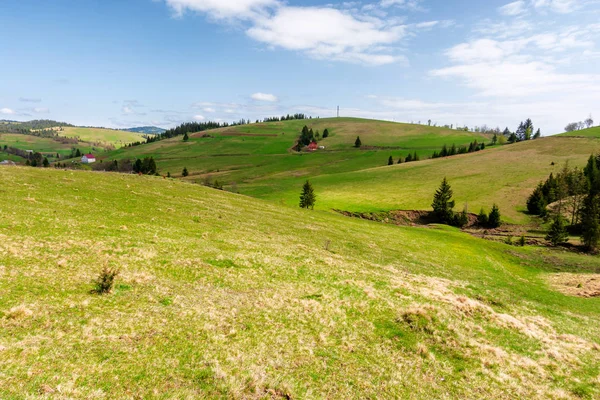 Zvlněné kopce karpatské krajiny na jaře — Stock fotografie