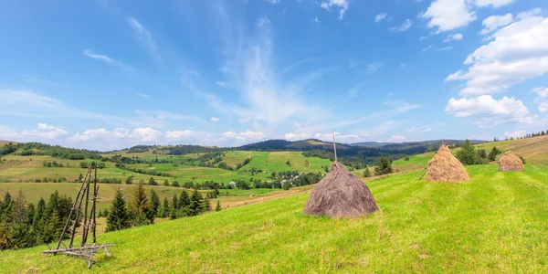 Pajar en el campo de hierba en verano — Foto de Stock