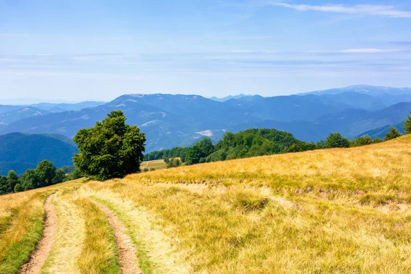 Mountainous countryside in summertime — Stock Photo, Image