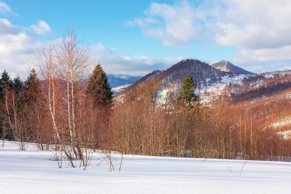 Beau paysage hivernal en montagne — Photo