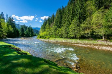 Dağ nehri ile doğa sahnesi