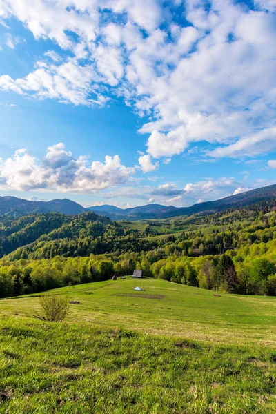 İlkbaharda Karpatlar kırsalda — Stok fotoğraf