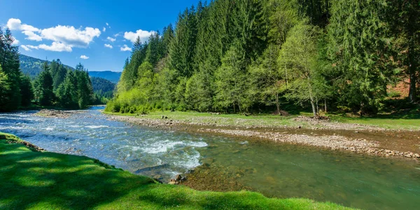 Dağ nehri ile doğa sahnesi