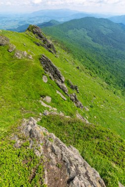 Yazın dağ manzarası