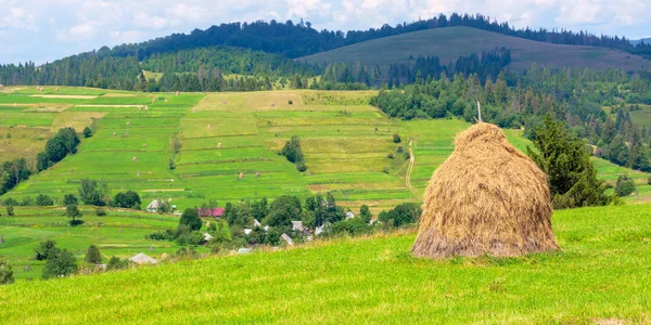 Сіностійка на трав'янистому полі влітку — стокове фото