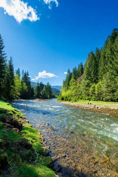 Scena naturale con fiume di montagna — Foto Stock