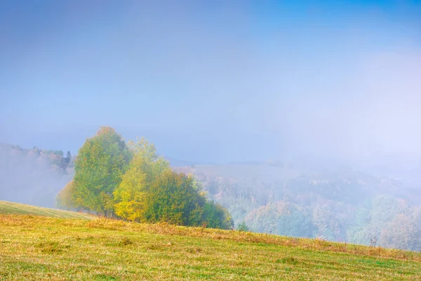 Paysage de montagne brumeux en automne — Photo
