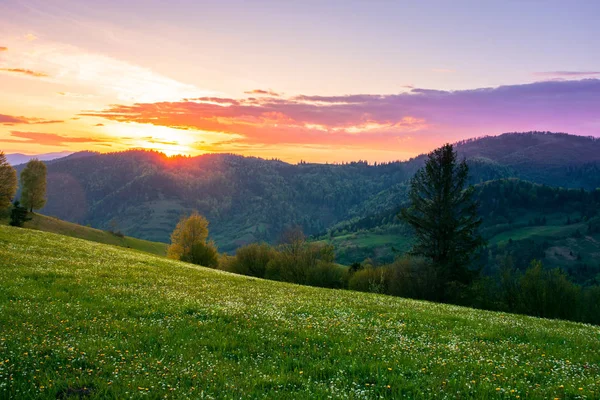 Venkovská krajina v horách za soumraku — Stock fotografie