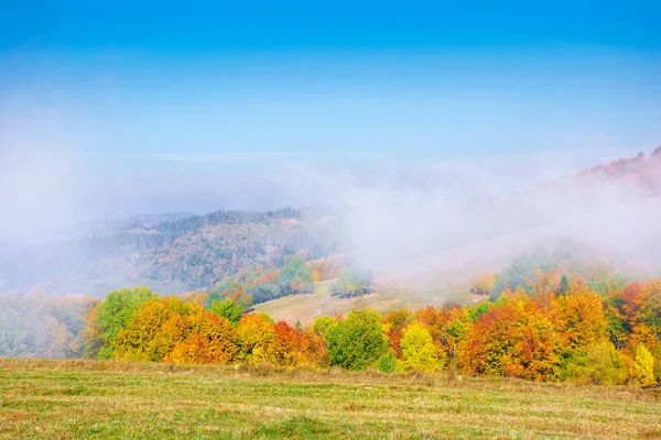 Niebla paisaje de montaña en otoño — Foto de Stock