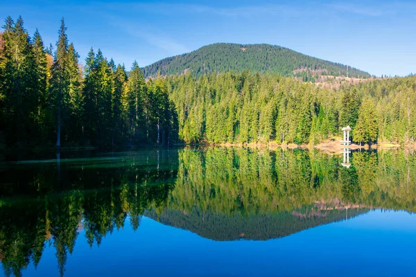Горное озеро среди хвойных лесов — стоковое фото