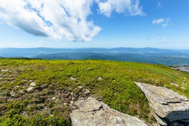 Alp çayırındaki kayalar
