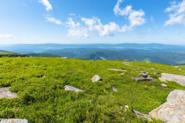 Alp çayırındaki kayalar